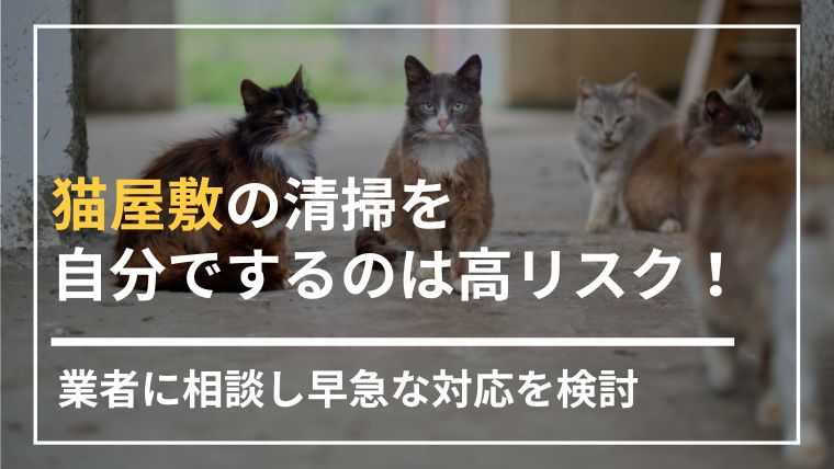 猫屋敷の清掃は業者にすぐ相談！放置するリスクや作業手順を解説