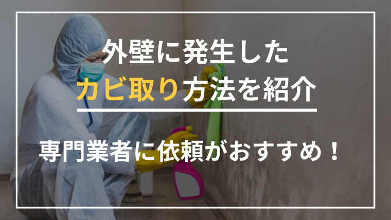 外壁に発生したカビ取り方法をご紹介｜専門業者に依頼するのがおすすめ！