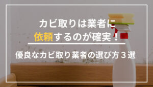 カビ取りは業者に依頼するのが確実！優良なカビ取り業者の選び方３選