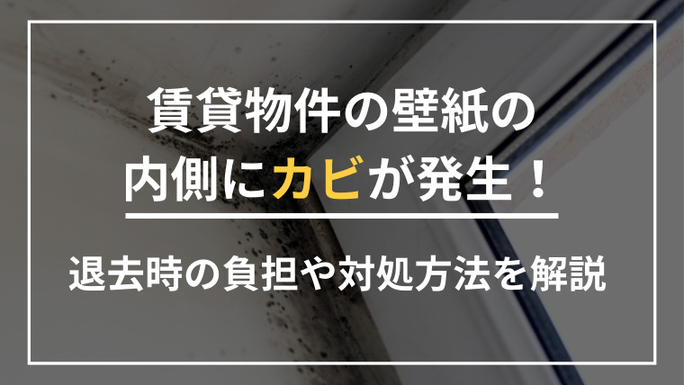 賃貸物件の壁紙の内側にカビが発生！退去時の負担や対処方法を解説