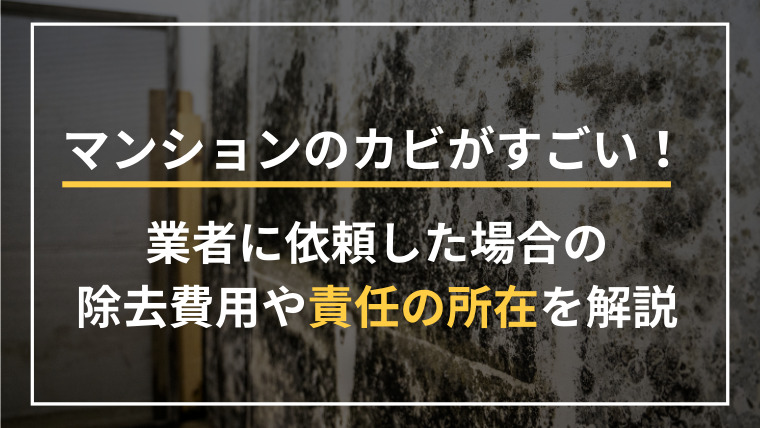 マンションのカビがすごい！業者に依頼した場合の除去費用や責任の所在を解説