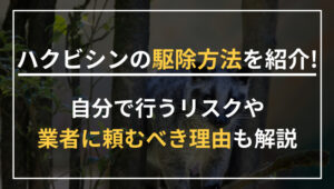ハクビシンの駆除方法を紹介！自分で行うリスクや業者に頼むべき理由も解説
