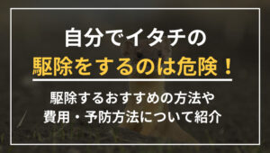 自分でイタチの駆除をするのは危険！駆除するおすすめの方法や費用・予防方法について紹介