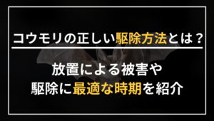 コウモリの正しい駆除方法とは？放置による被害や駆除に最適な時期を紹介